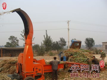 搶抓農(nóng)時(shí)促轉(zhuǎn)化，市畜牧局多措并舉推廣秸稈青貯飼料助力畜牧漁業(yè)降本增效